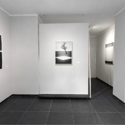 Studio Orma