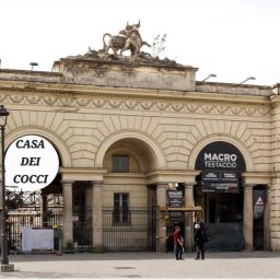 Casa dei Cocci