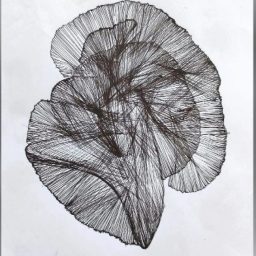 Pen on paper 21x29