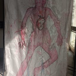 " Urbana Anatomia" 2026 — Maria Carmela Milano, Barbara Annunziata