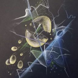 Daniela Duccini "Uova" 2013, pastelli su cartoncino nero, cm24x33 — Archivio dell'artista