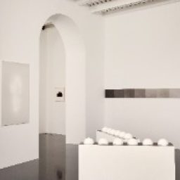 NFFSMK